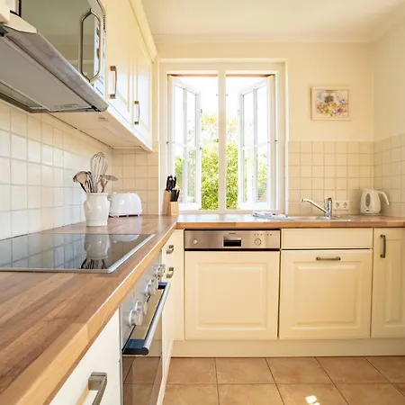 Amsel 3 Wyk auf Föhr